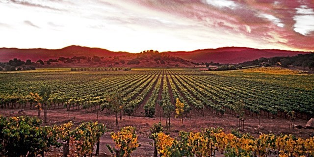 Lo mejor de California:playa, Hoteles City &Wine Country por menos de $ 199 